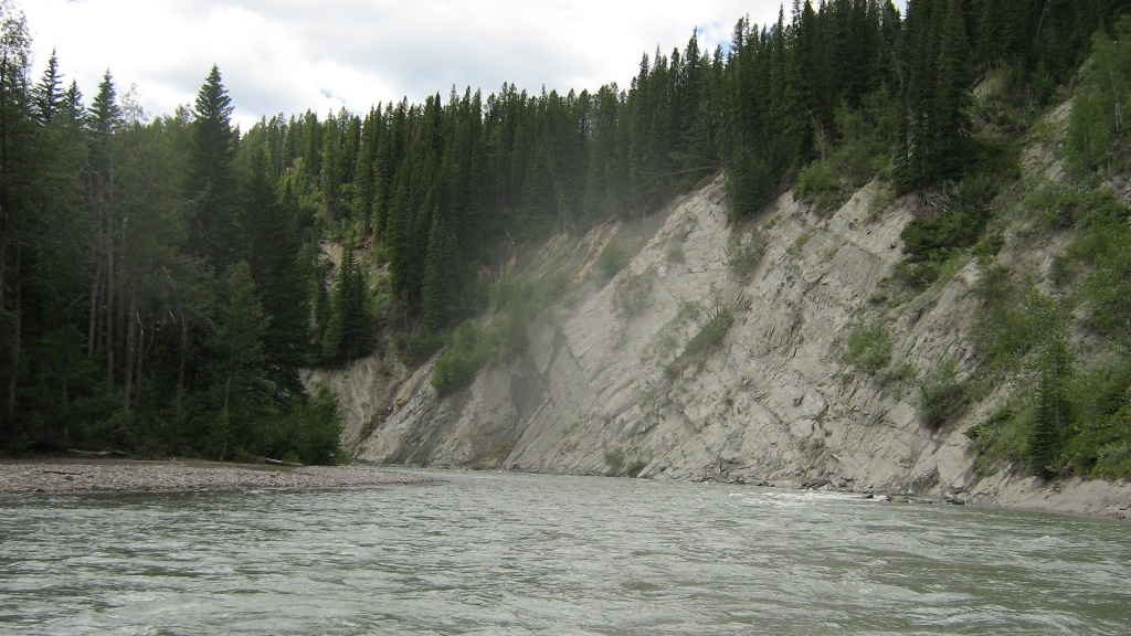 July 3, 2010 Braz. 040.jpg