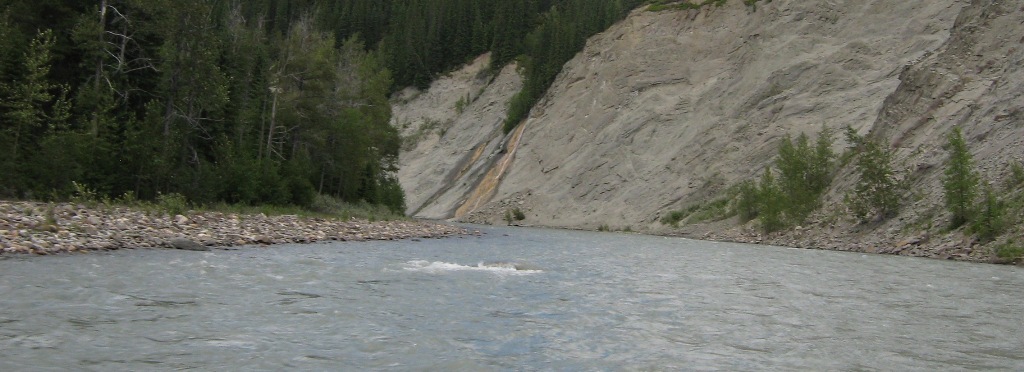 July 3, 2010 Braz. 043.jpg
