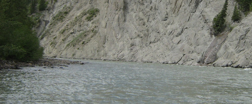 July 3, 2010 Braz. 047.jpg
