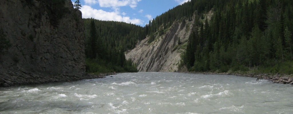 July 3, 2010 Braz. 051.jpg