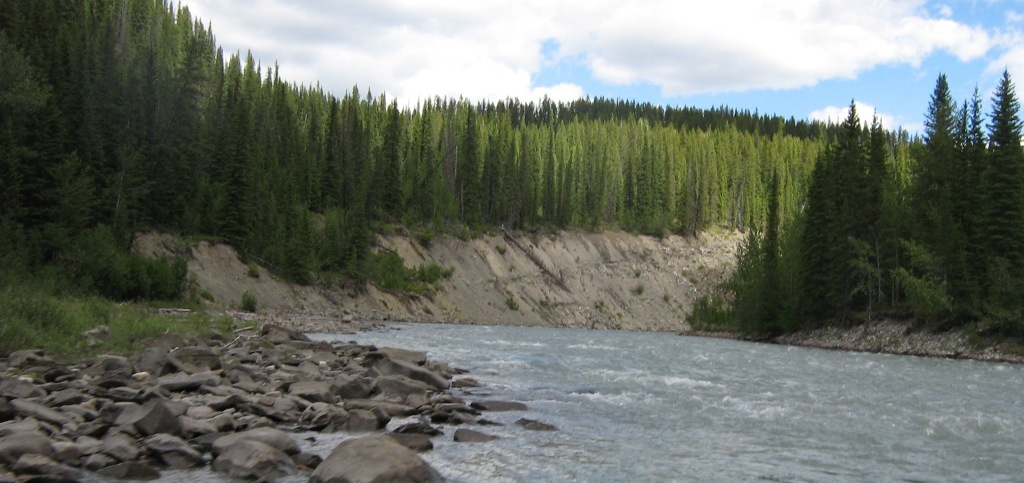 July 3, 2010 Braz. 054.jpg