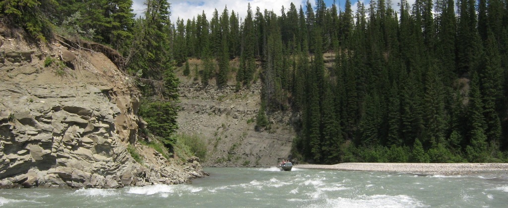 July 3, 2010 Braz. 065.jpg